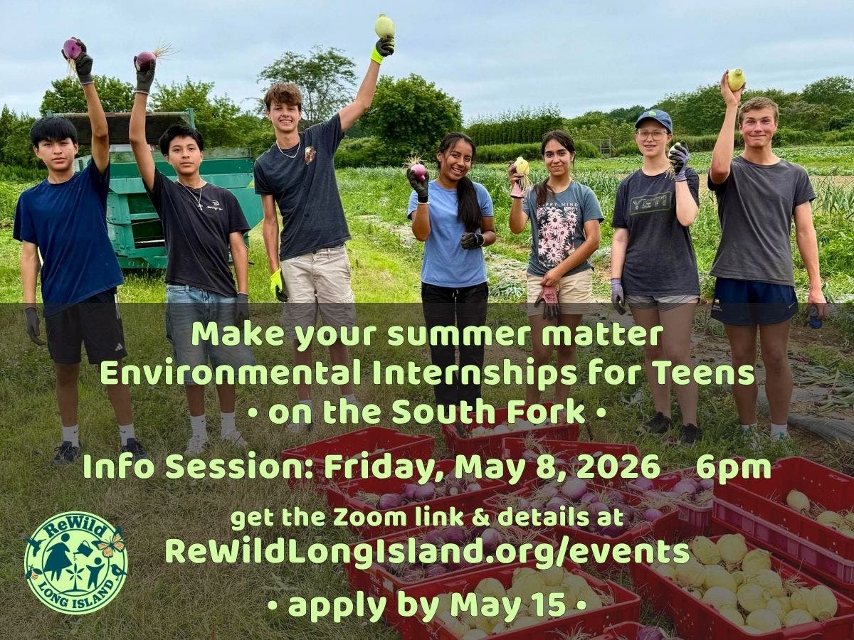 Summer Internship for Teens on the South Fork: Info Session on Zoom