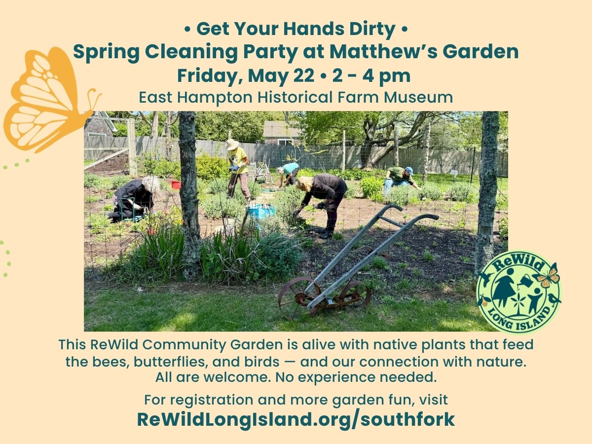 Get Your Hands Dirty: Spring Cleaning Party At Matthew's Garden