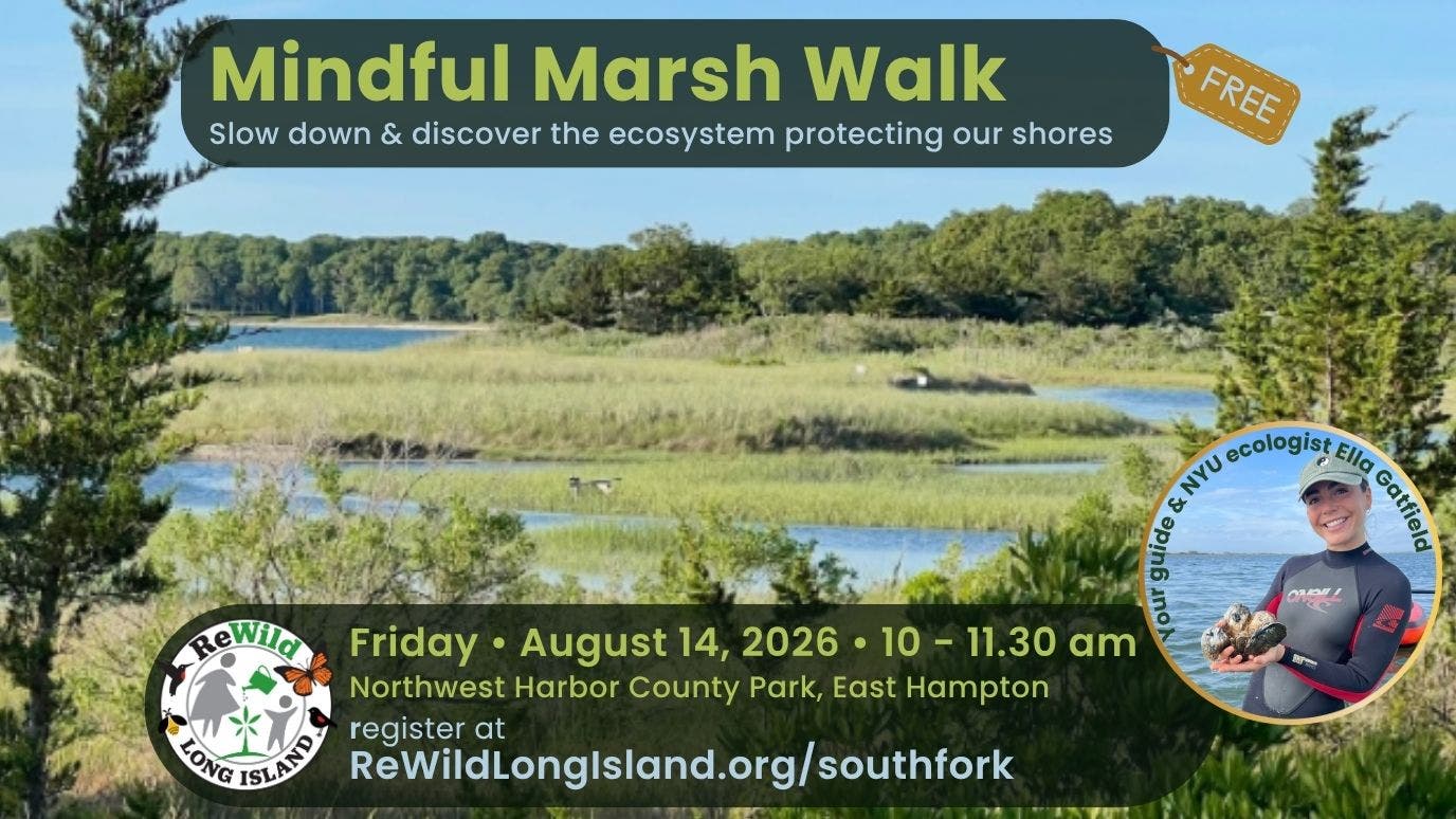 Mindful Marsh Walk: Discover the Ecosystem Protecting our Shores with ReWild Long Island