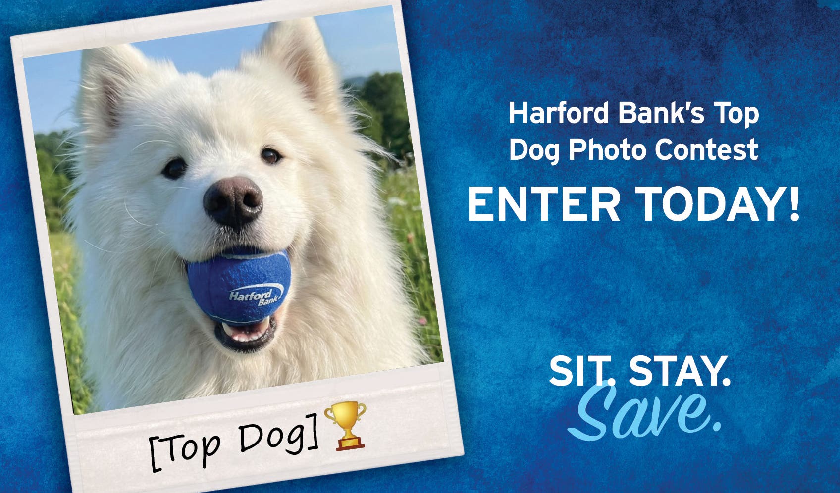 Harford Bank Launches Its Top Dog Photo Contest for the Community