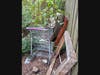 Bulk items discarded behind a dumpster enclosure at Leesburg Apartments. September 20, 2024.