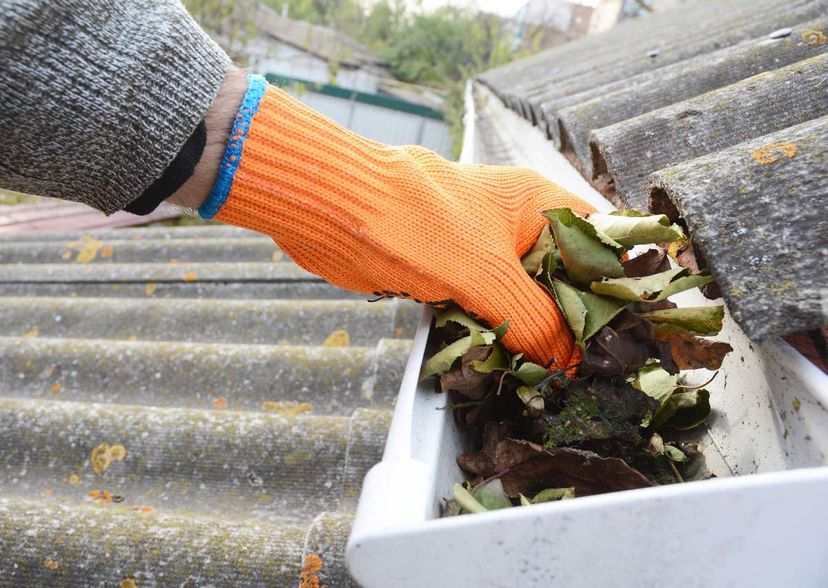 Out The Gutter Cleaning Services