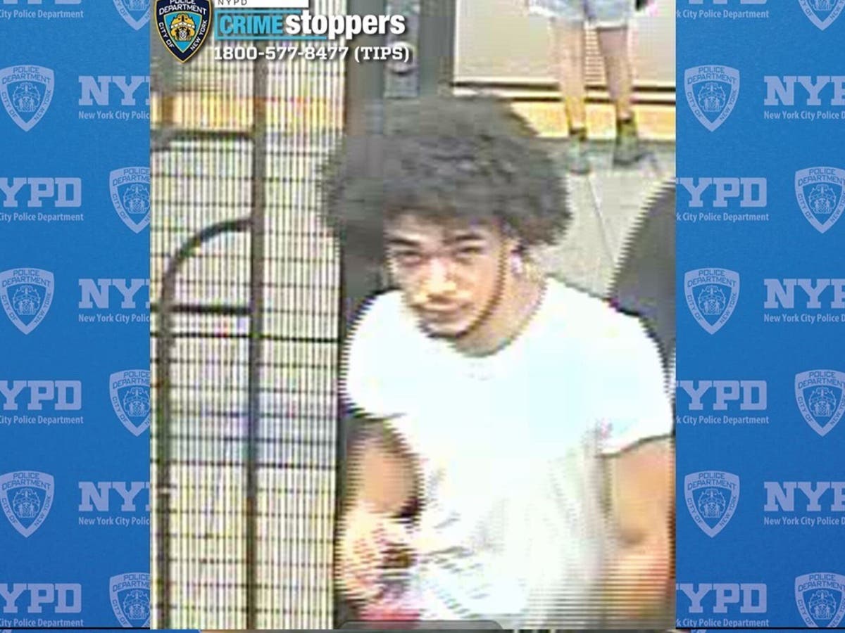Gang Of Six Sought After Violent Subway Robbery: Police | Upper East ...