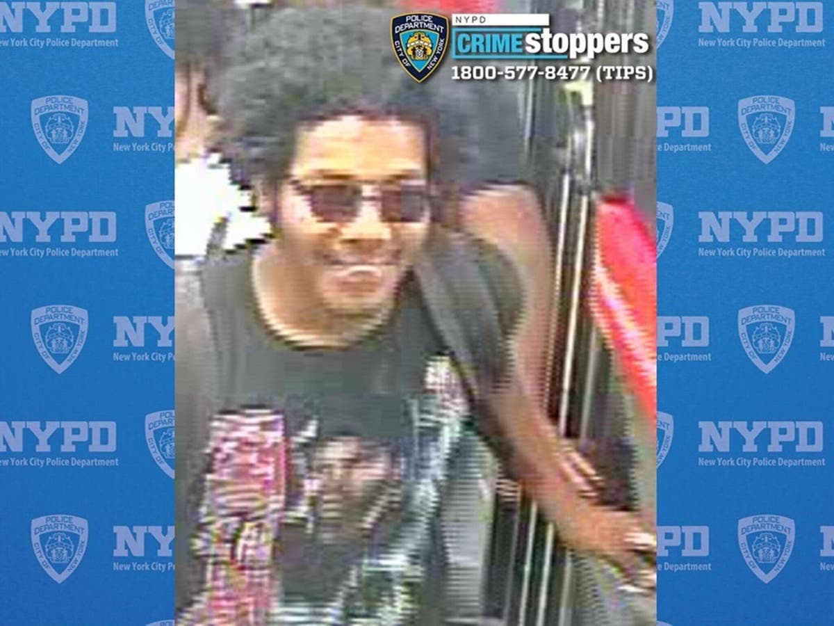Gang Of Six Sought After Violent Subway Robbery: Police | Upper East ...