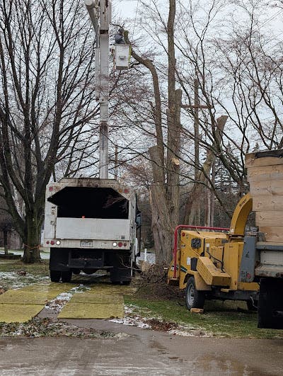 When Trees Don’t Fall Right Away: A Common Risk in Irondequoit, NY Yards