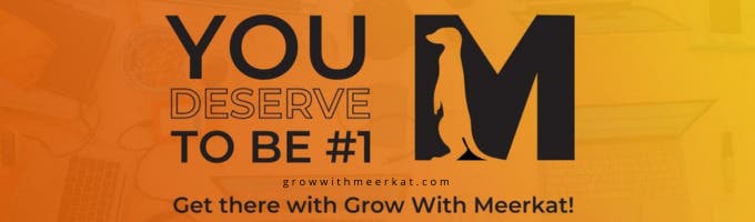 Grow With Meerkat