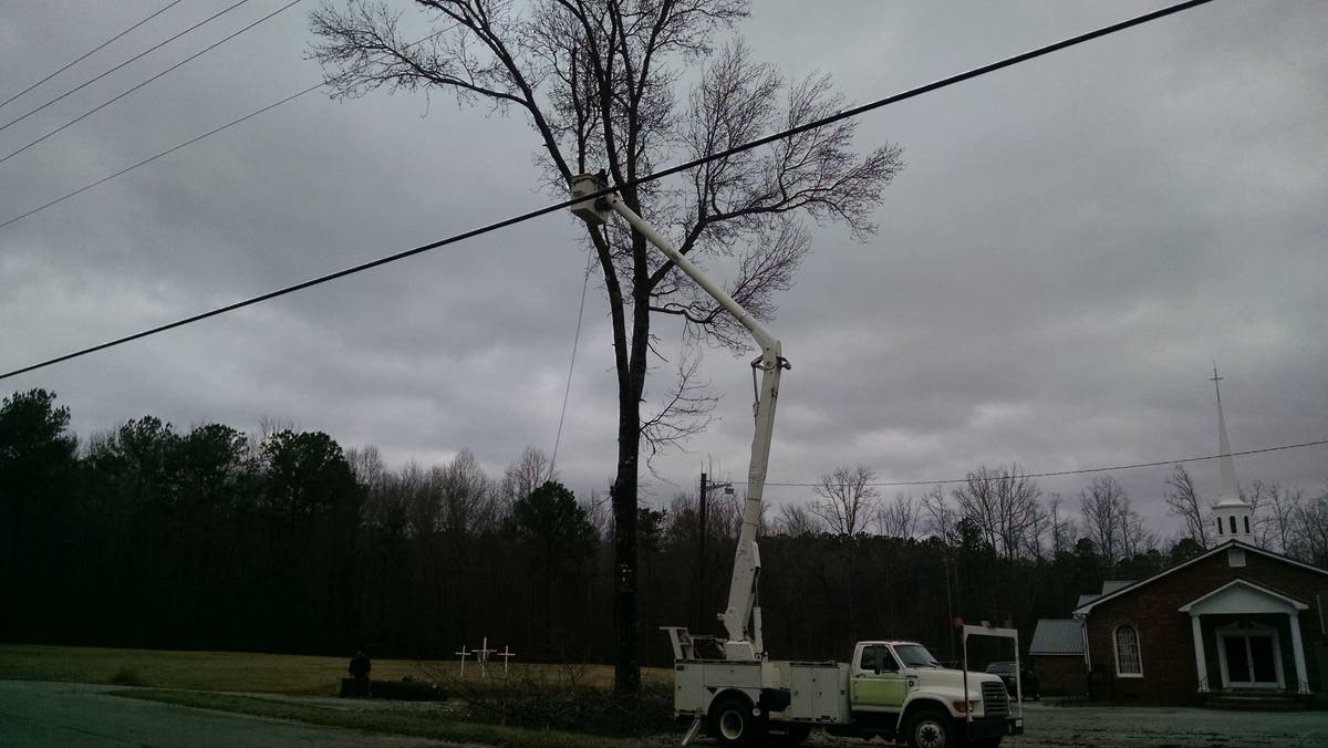 Georgia's Best Tree Service