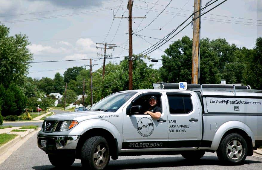 on the fly pest solutions