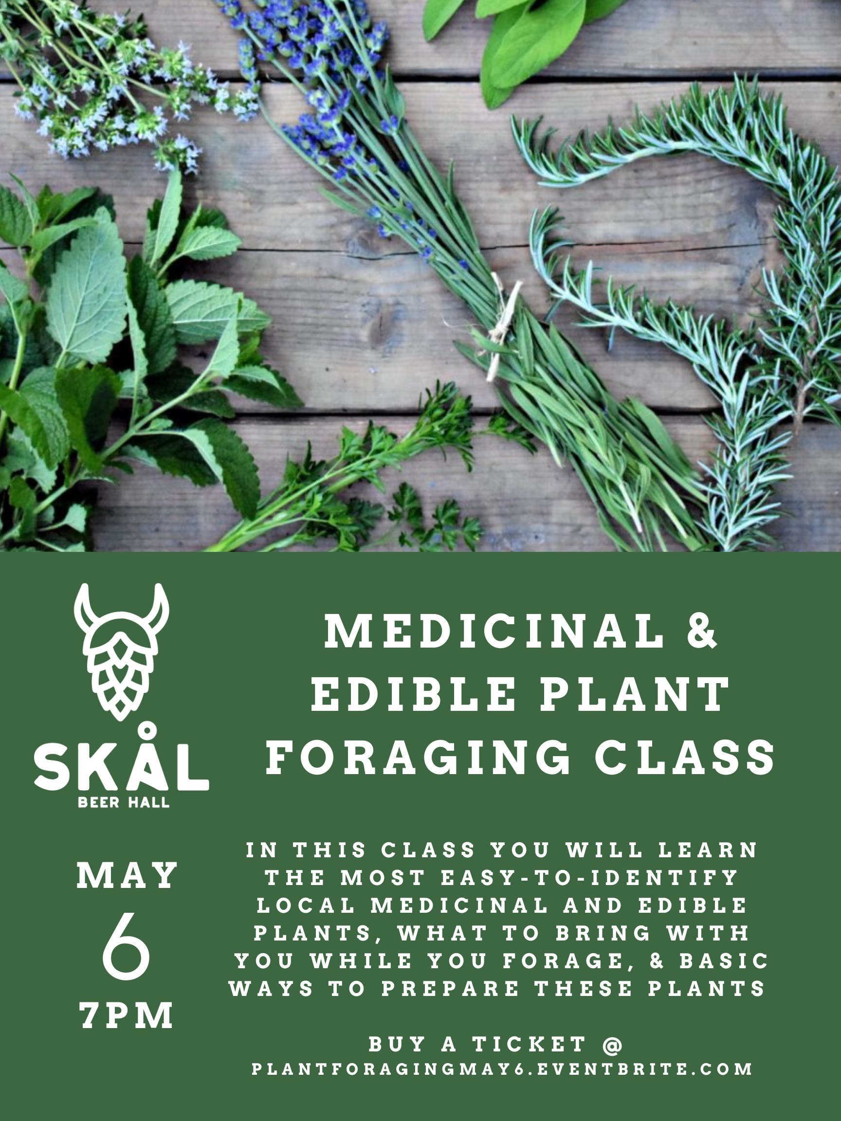 Edible & Medicinal Plant Foraging Class