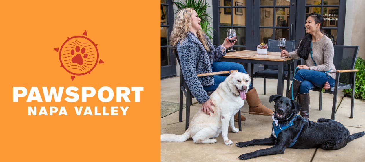 Pawsport Napa Valley 2026