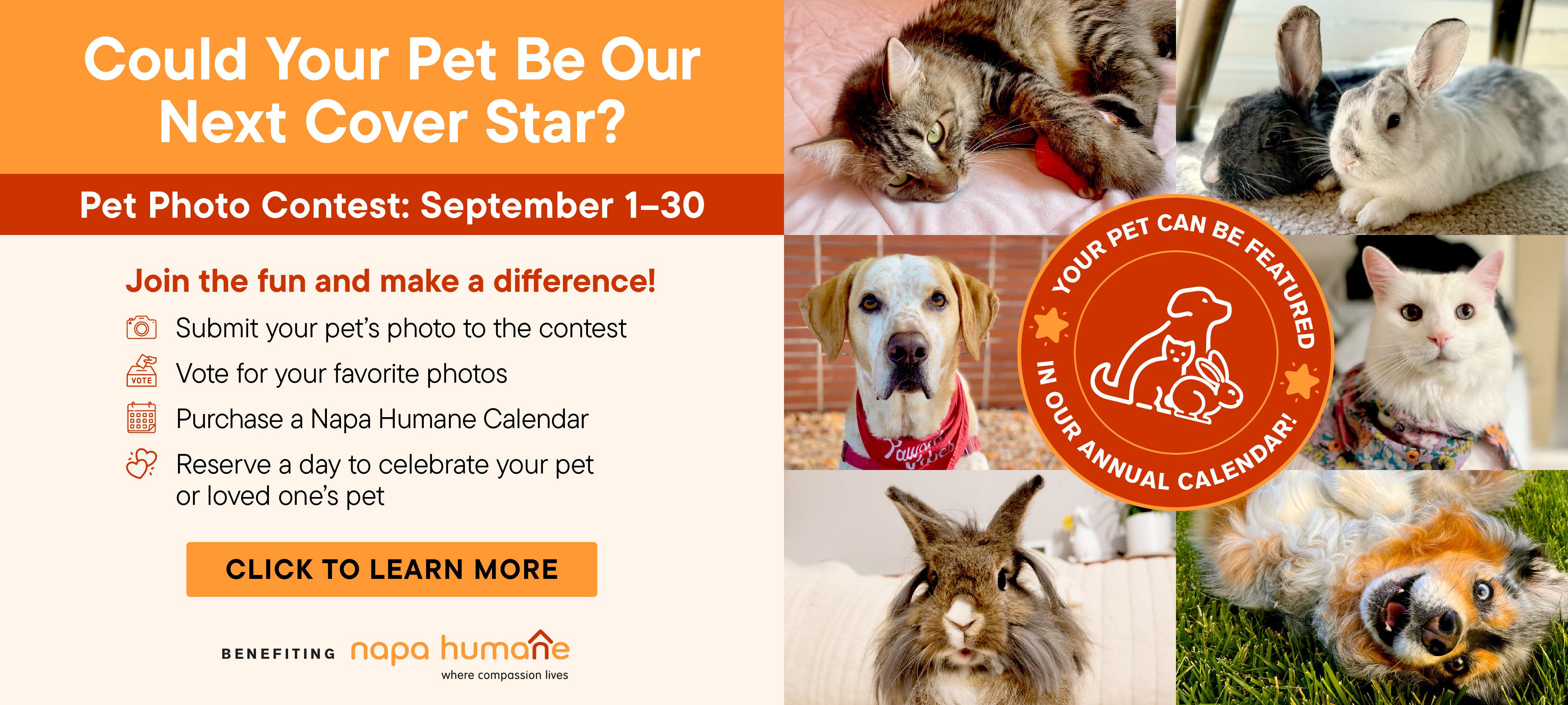 Napa Humane Annual Pet Photo Contest September 1–30, 2026