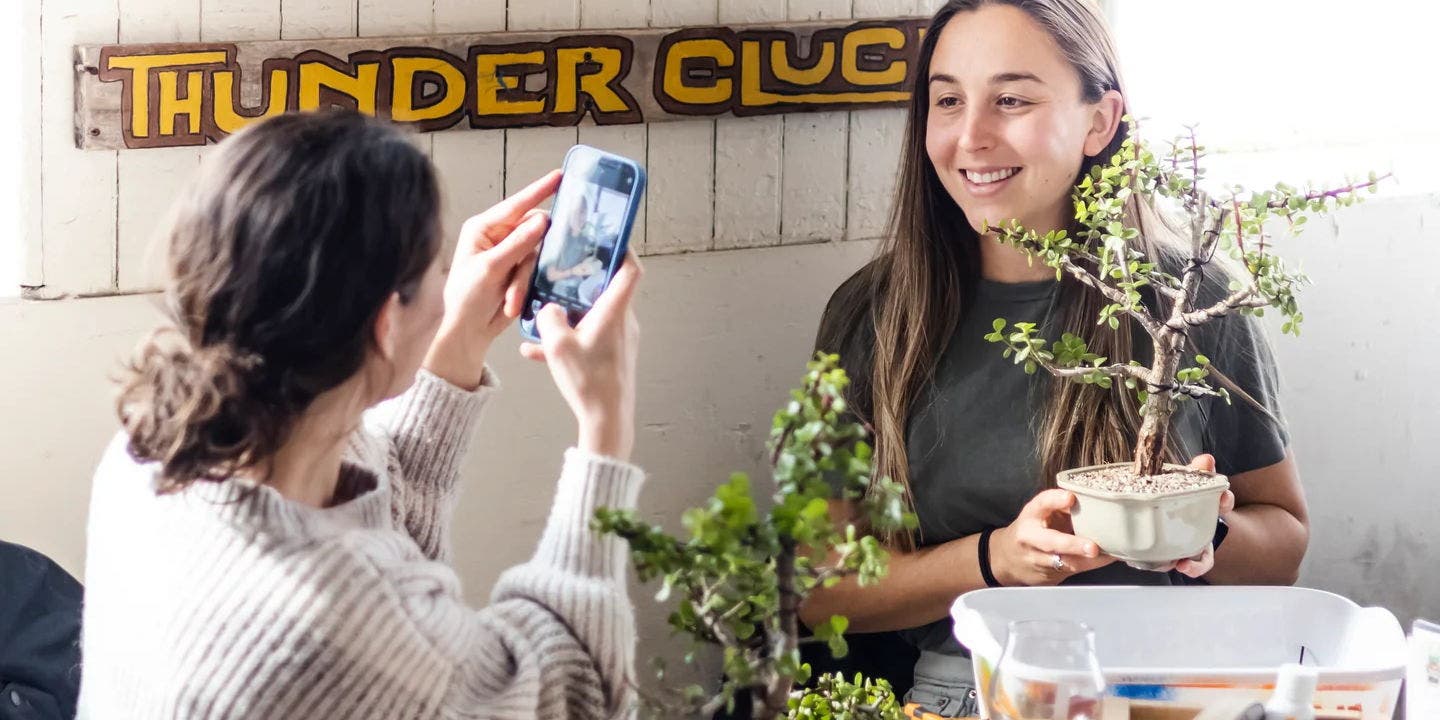 Bonsai Workshop at Local Roots Kombucha