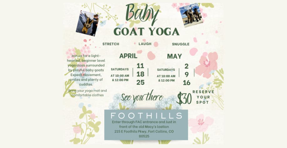 Foothills - Baby Goat Yoga