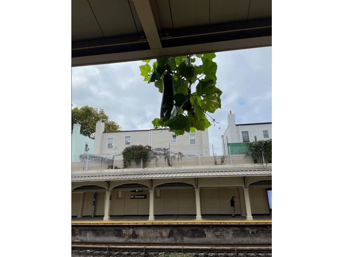 It's real and it's spectacular.