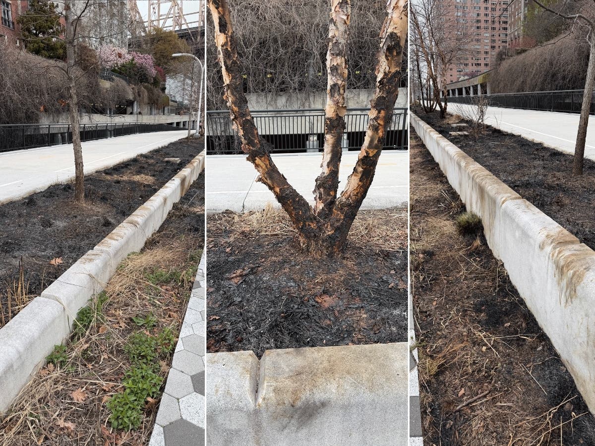 A fire scorched the greenery along the Esplanade between East 57th Street and East 58th Street over the weekend.