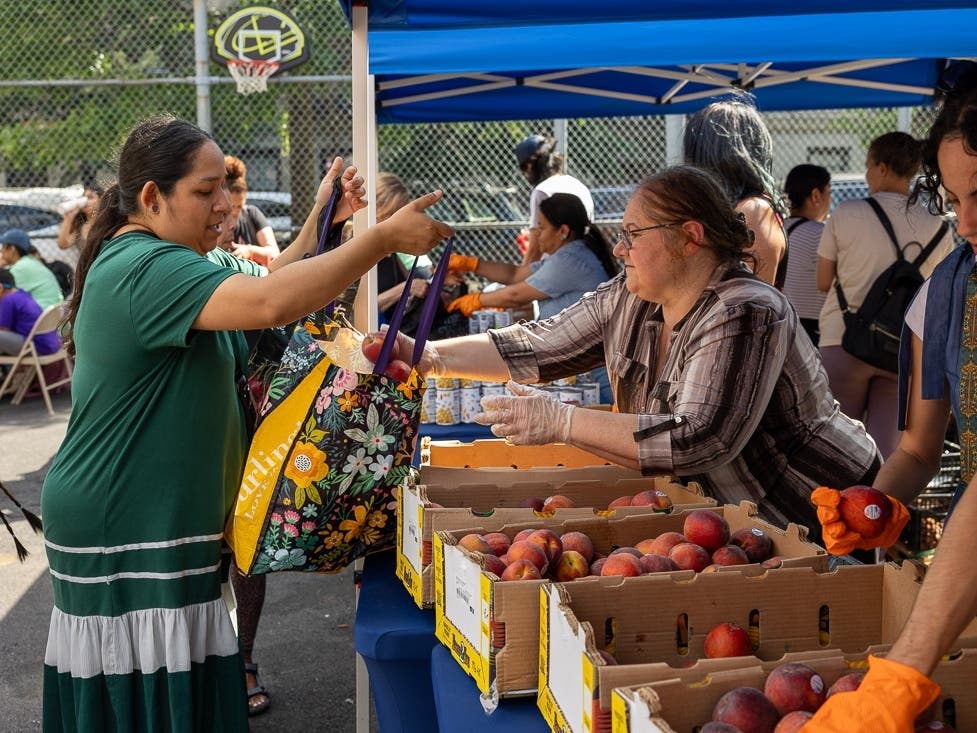 Verde Vida, a Northern Manhattan and Bronx nonprofit, will host its first free market this month on Aug. 6, and its second on Aug. 13, organizers told Patch.