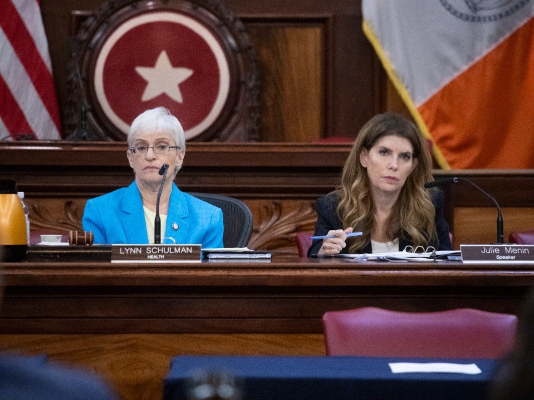 Councilmembers Lynn Schulman and Julie Menin led the oversight hearing. 