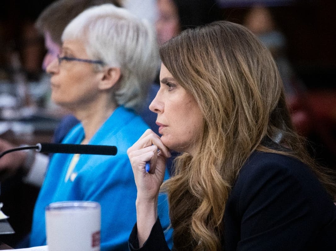 Councilmembers Lynn Schulman and Julie Menin led the oversight hearing. 