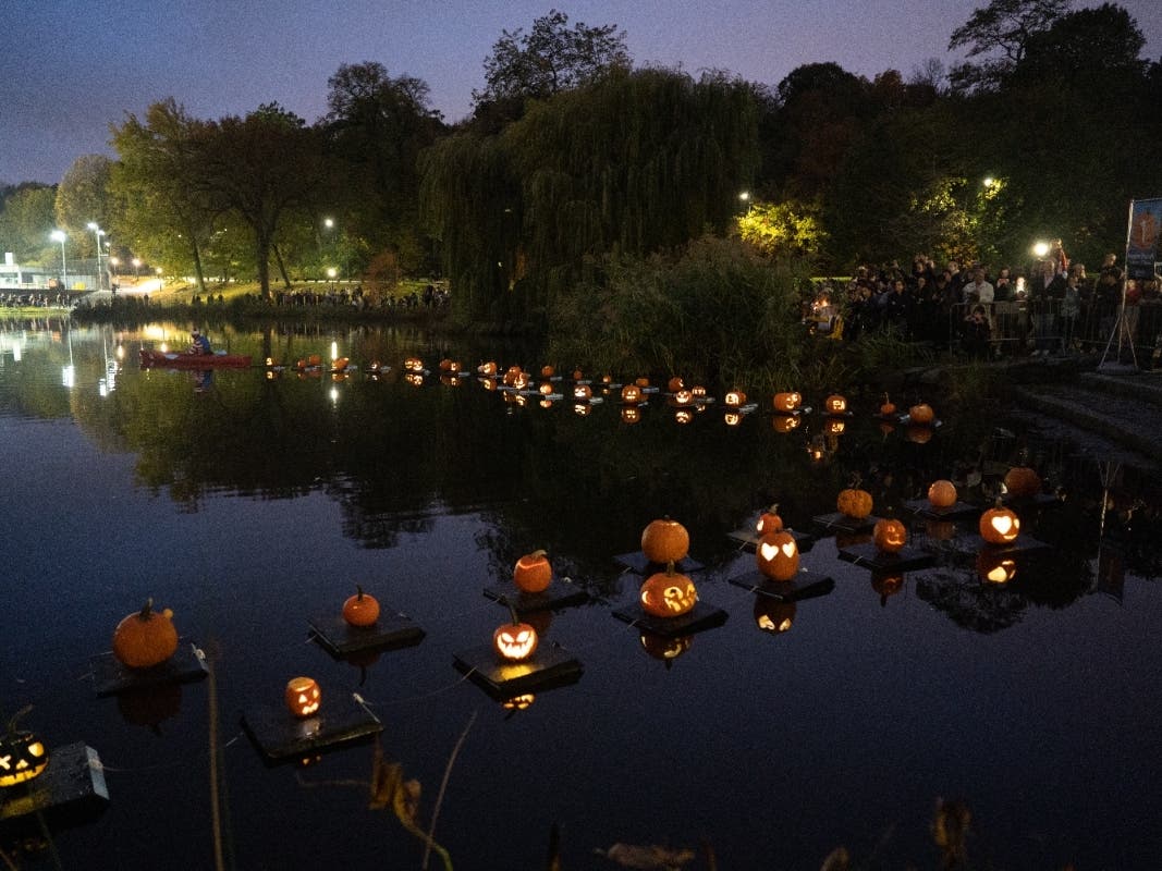 The yearly tradition, which has been at the Harlem Meer since 1993, invites New Yorkers to drop off their hand-carved pumpkins, which get loaded onto little connected floats with LED lights.