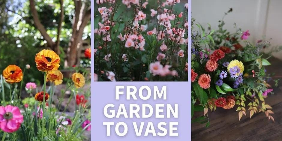 From Garden to Vase: Grow Your Own Cut Flowers All Year Long
