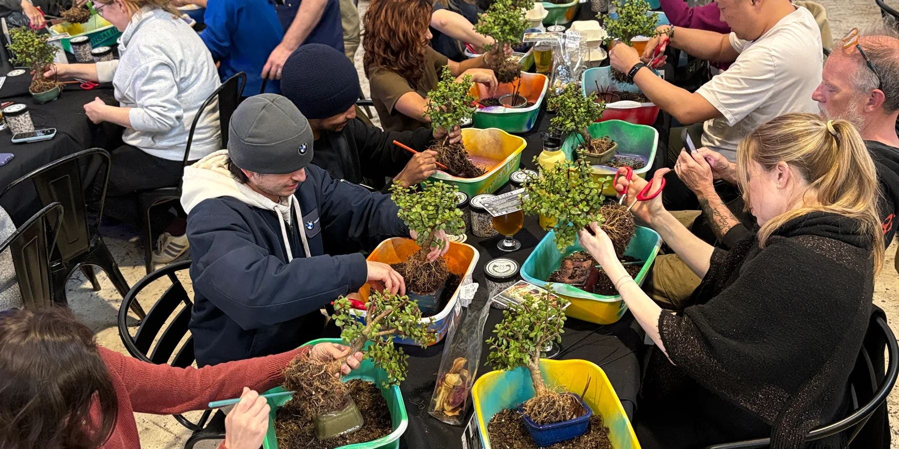 Bonsai Workshop at Throwback Brewery
