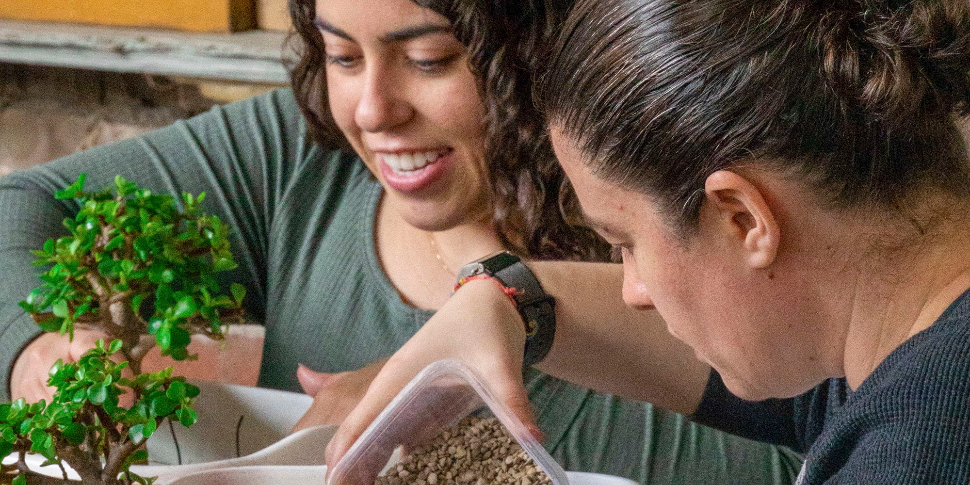 Bonsai Workshop at North Country Hard Cider