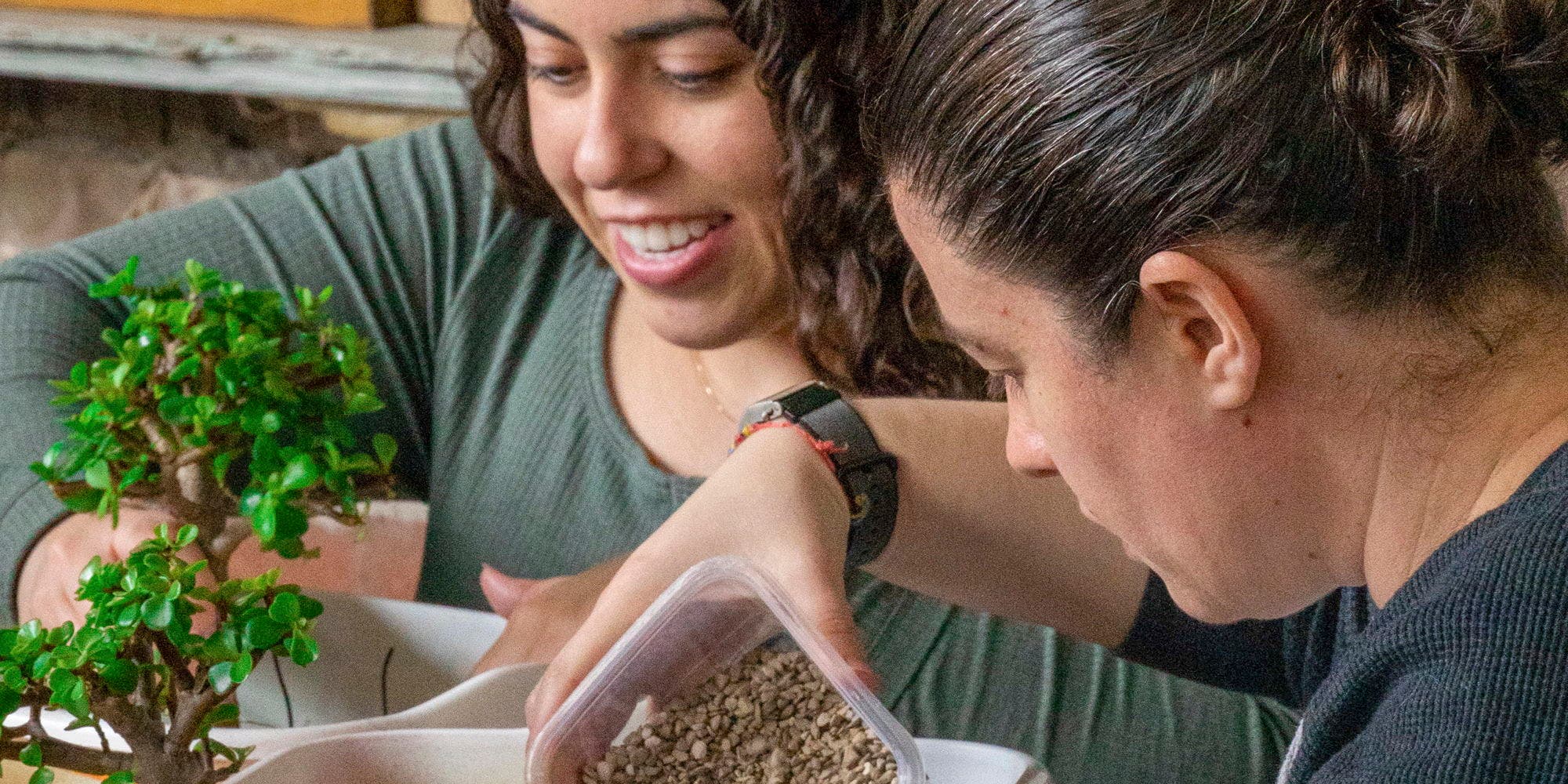Bonsai Workshop at Stark Brewing Company