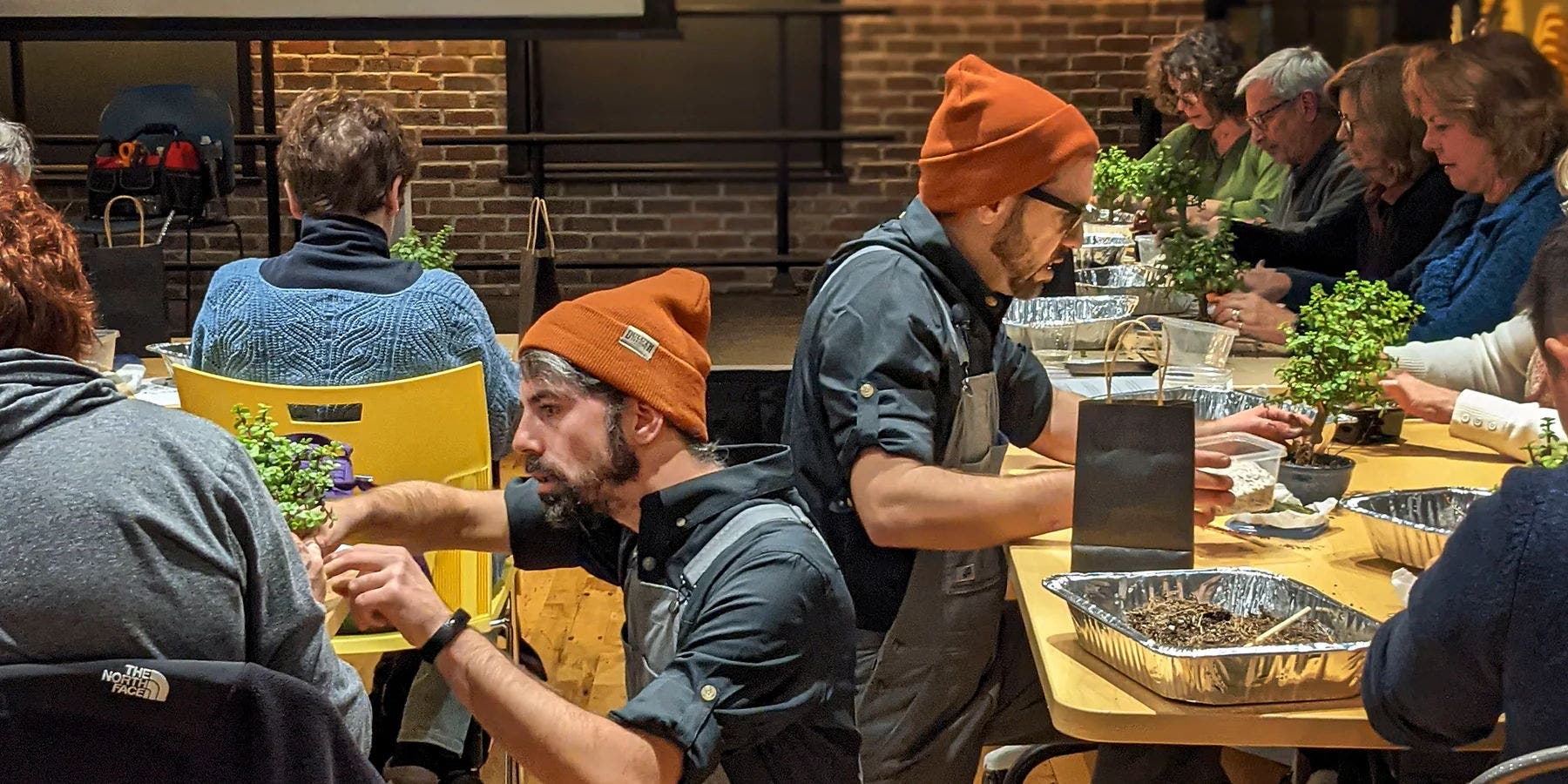 Bonsai Workshop at Stark Brewing Company