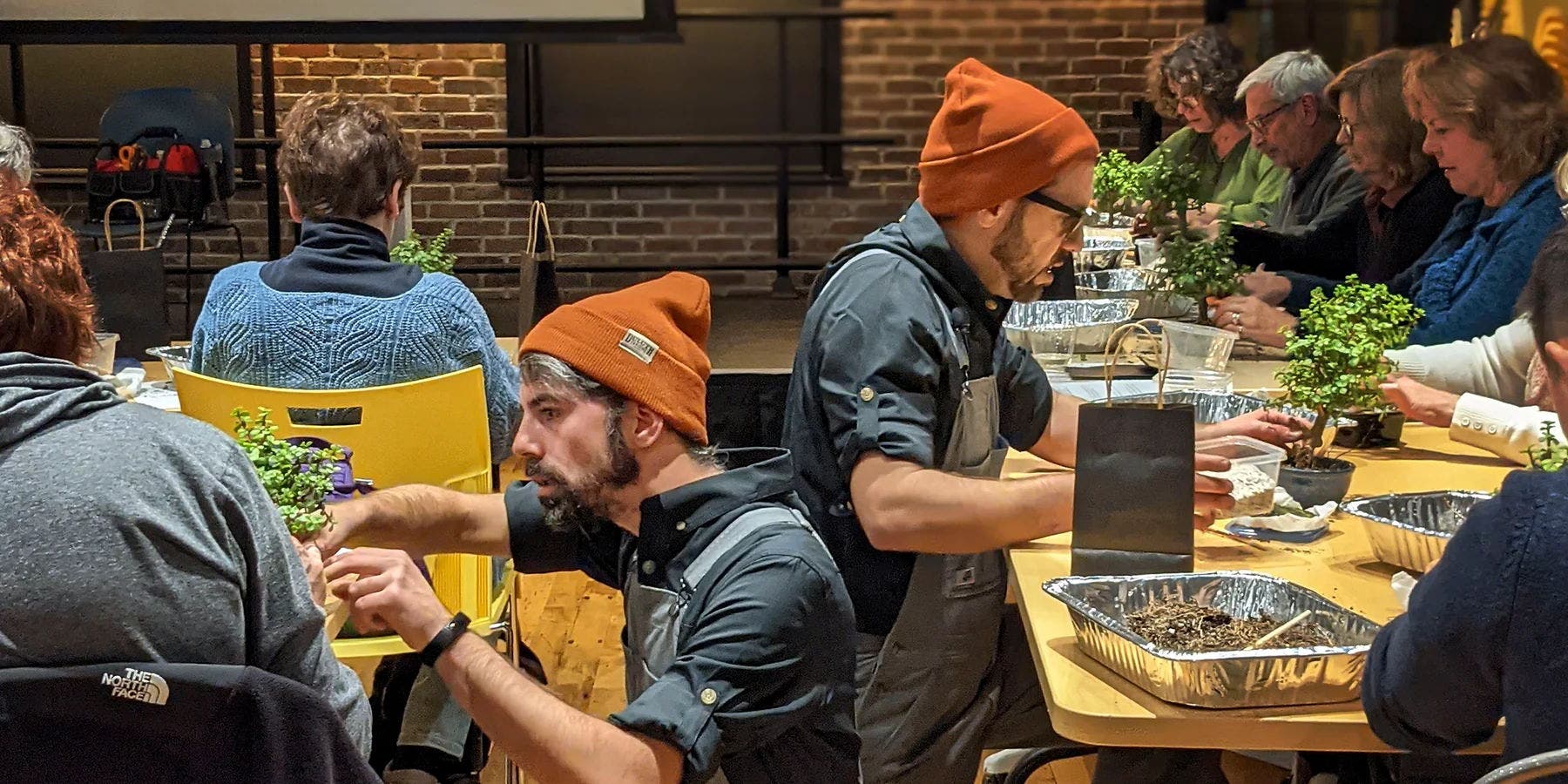 Bonsai Workshop at Liquid Therapy Brewery & Grill