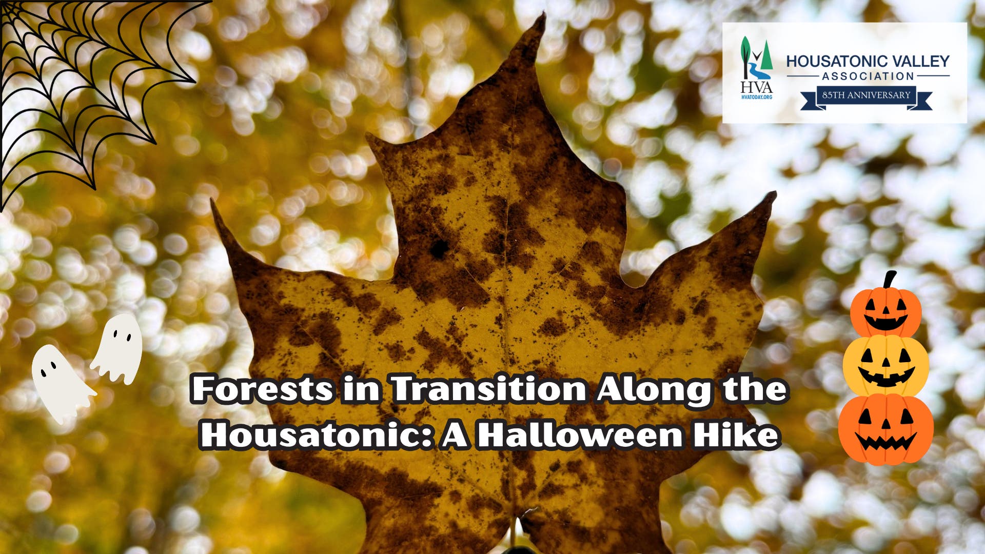 Forests in Transition Along the Housatonic: A Halloween Hike