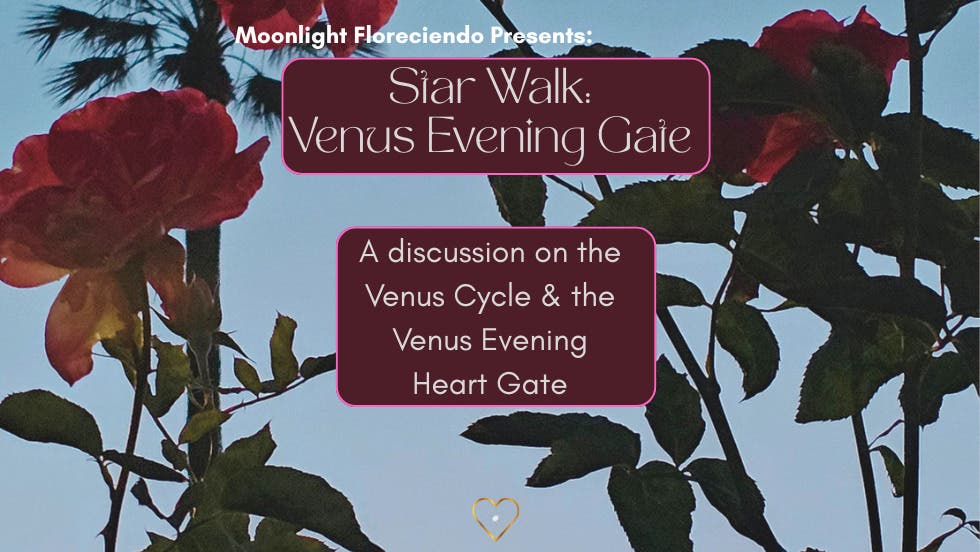 Star Walk: Venus Evening Gate 