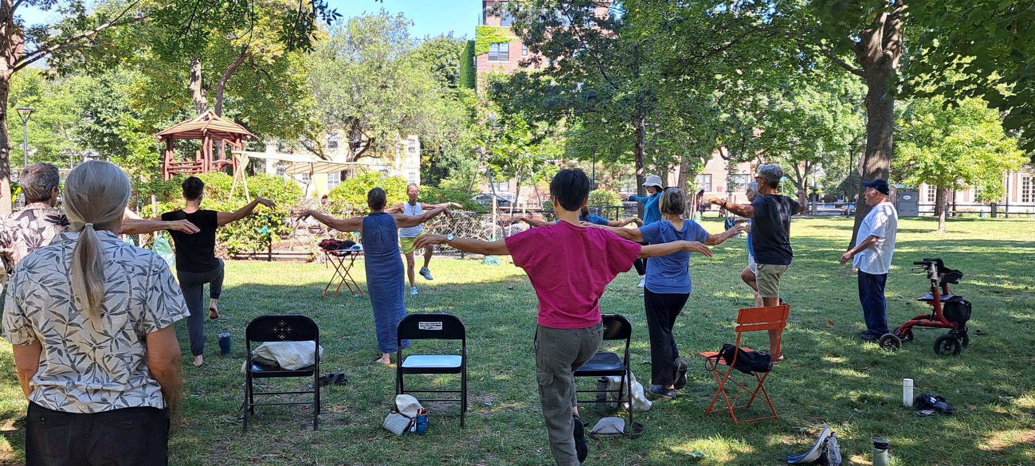 Tai Chi Under the Tree