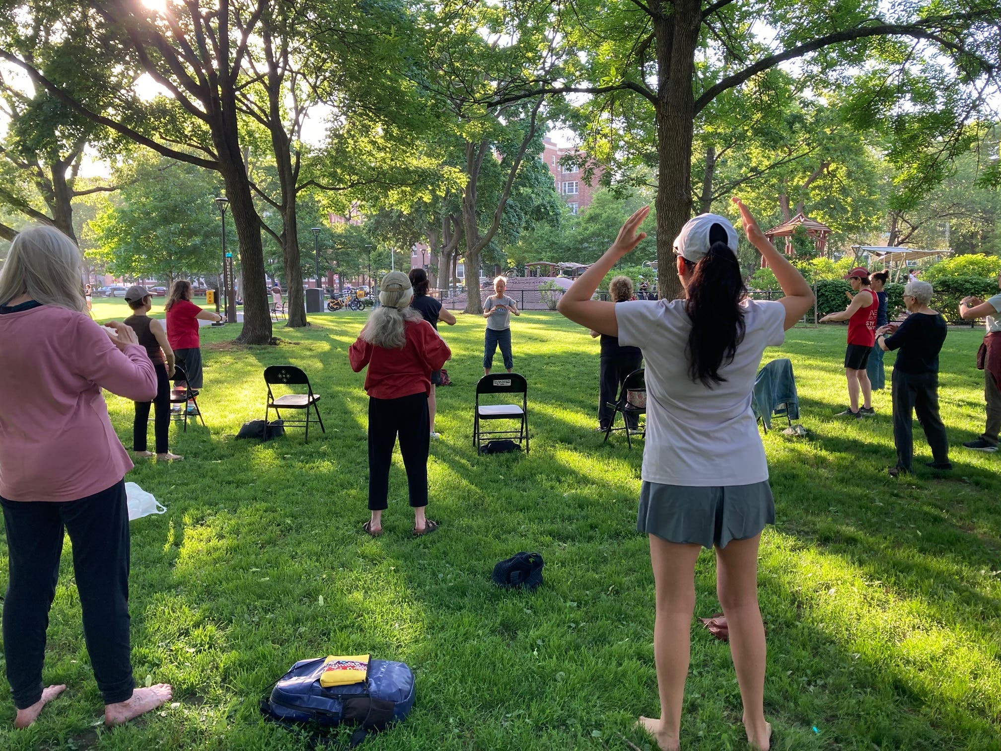 Tai Chi Under the Tree