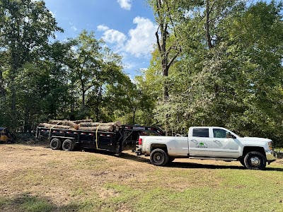 Why Some Trees Fall Days After a Storm in White Bluff, TN