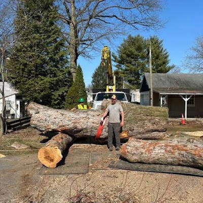 Why Dead Branches Are More Dangerous Than Most Property Owners Realize in Lititz, PA