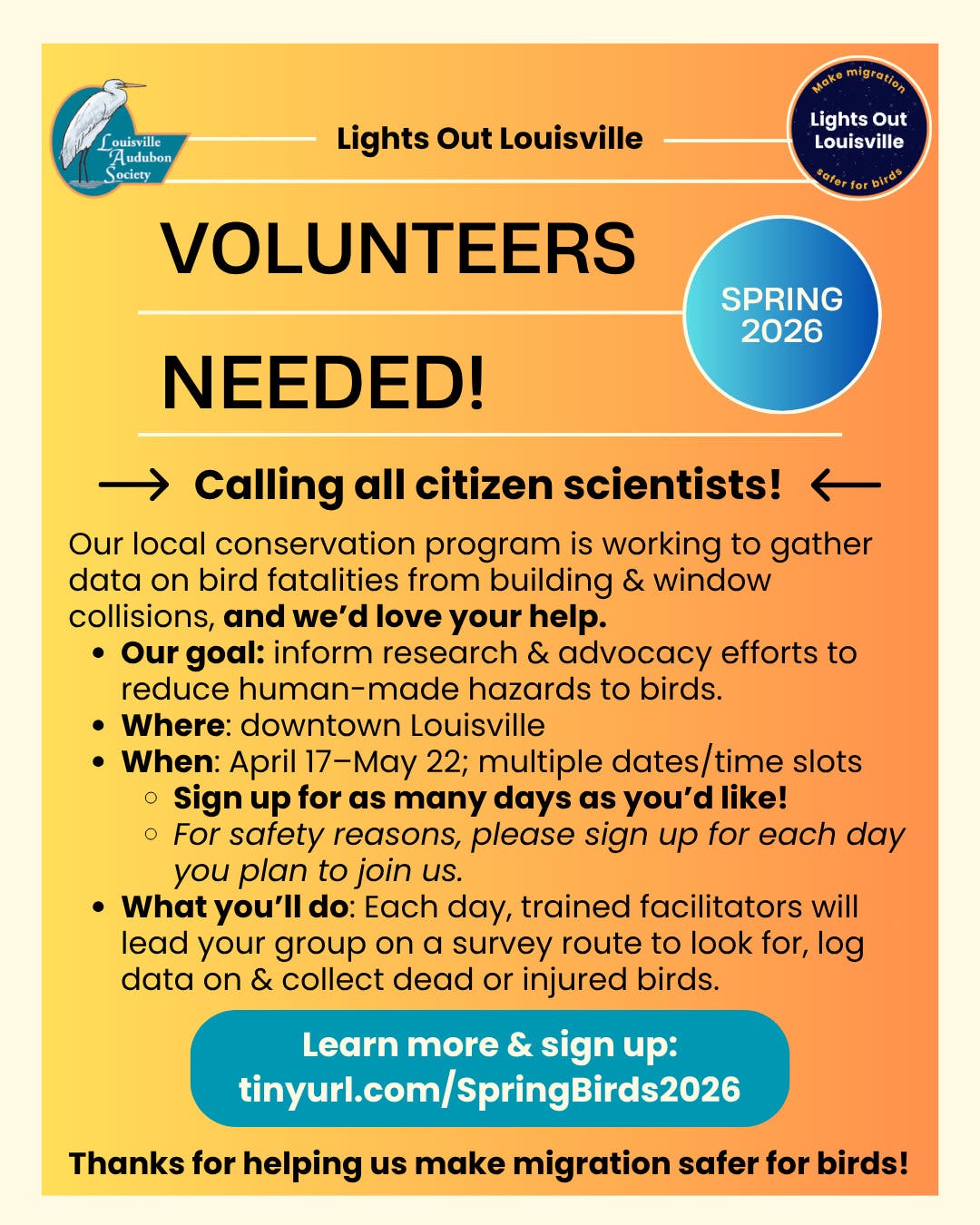 Help collect data on bird-building collisions and save migrating birds!