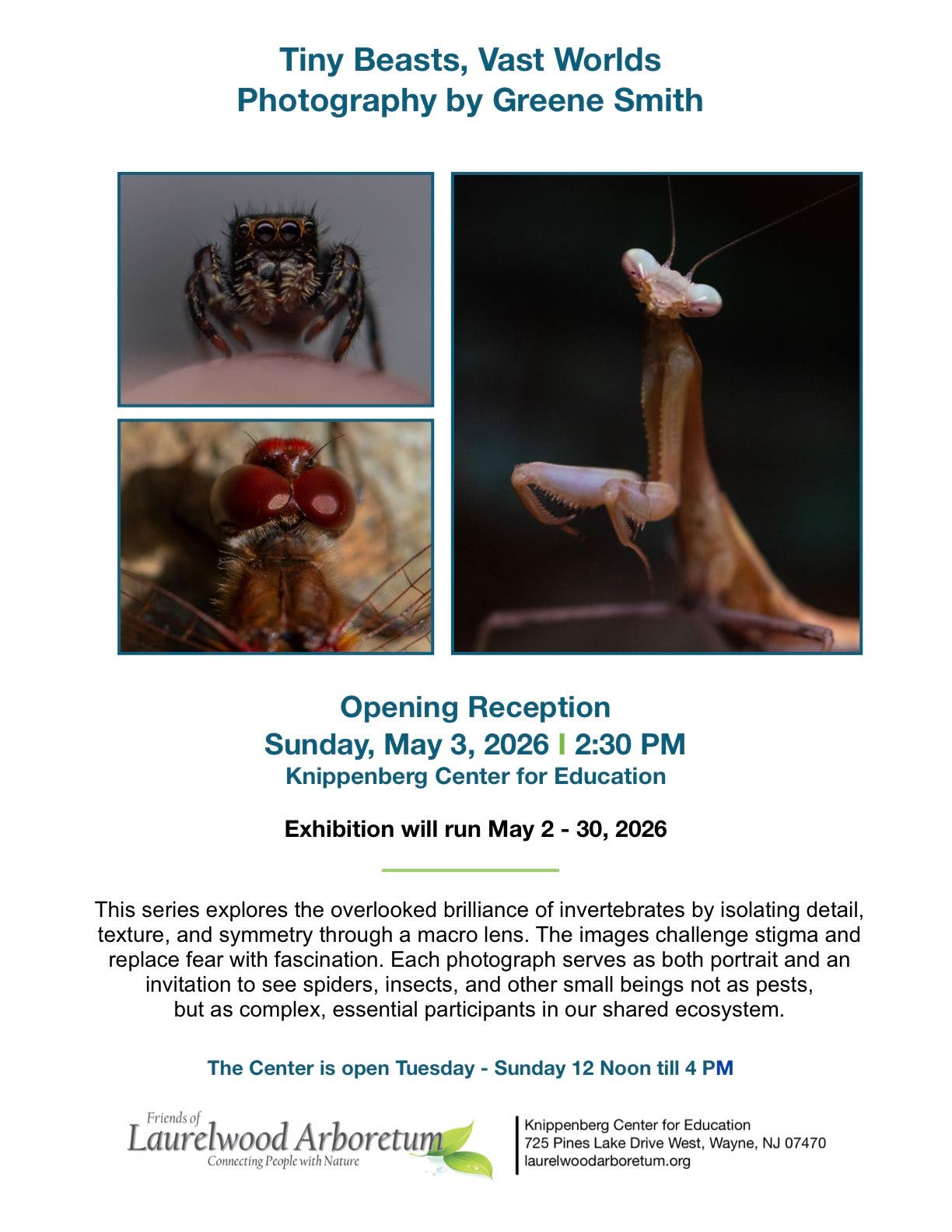 Tiny Beasts, Vast Worlds: Photography by Greene Smith