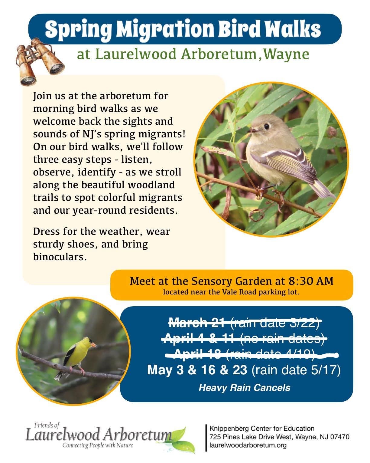 Spring Migration Bird Walks