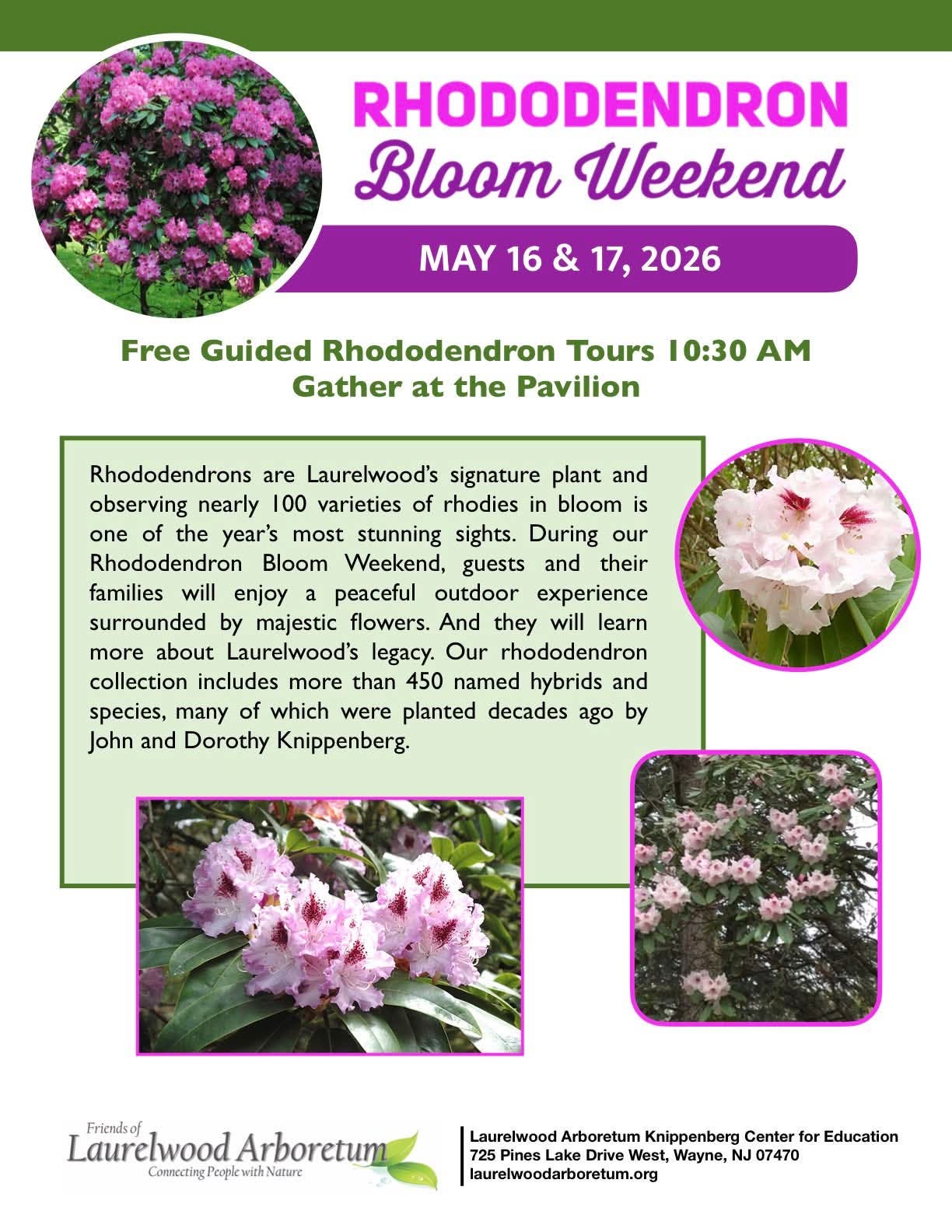 Rhododendron Bloom Weekend Tour