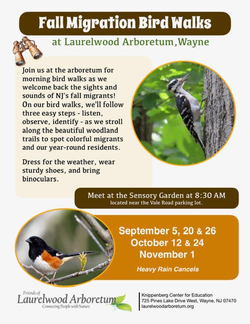 Fall Migration Bird Walks