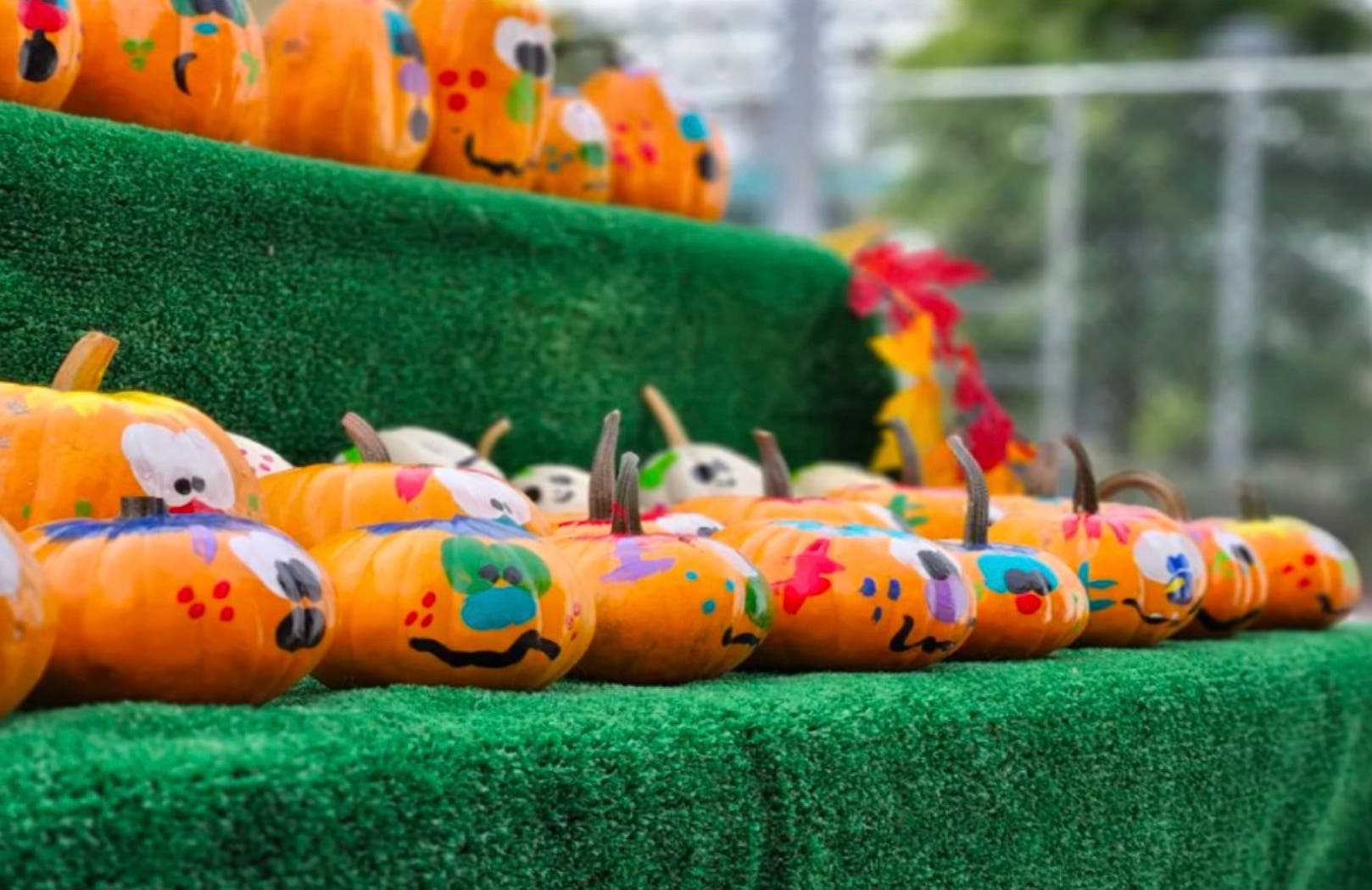 Pick the Perfect Pumpkin at Greg’s Great Pumpkin Patch Beginning on 9/25