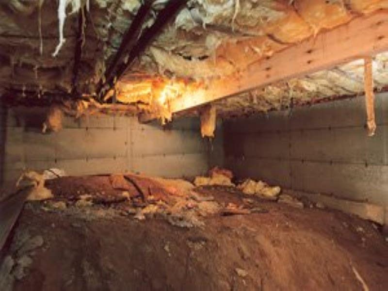 Palm Harbor Crawl Space Repair