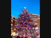 Glen Cove Christmas Tree. Donated by Michael Corigliano and Phil Zuccala, the tree is a beautiful 32-foot Blue Spruce.