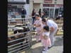 Kids enjoying the petting zoo. 