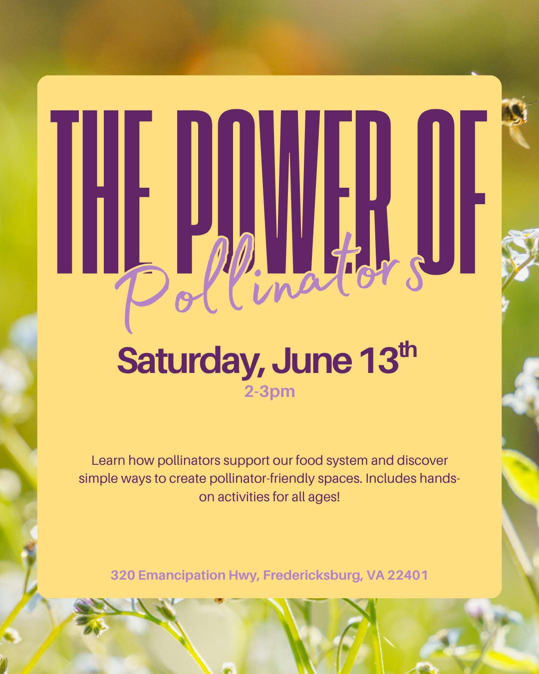 The Power of Pollinators
