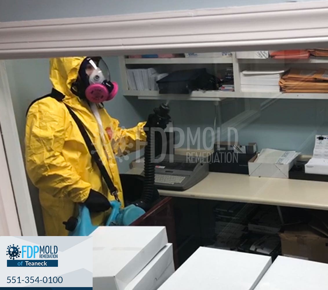 FDP Mold Remediation of Teaneck