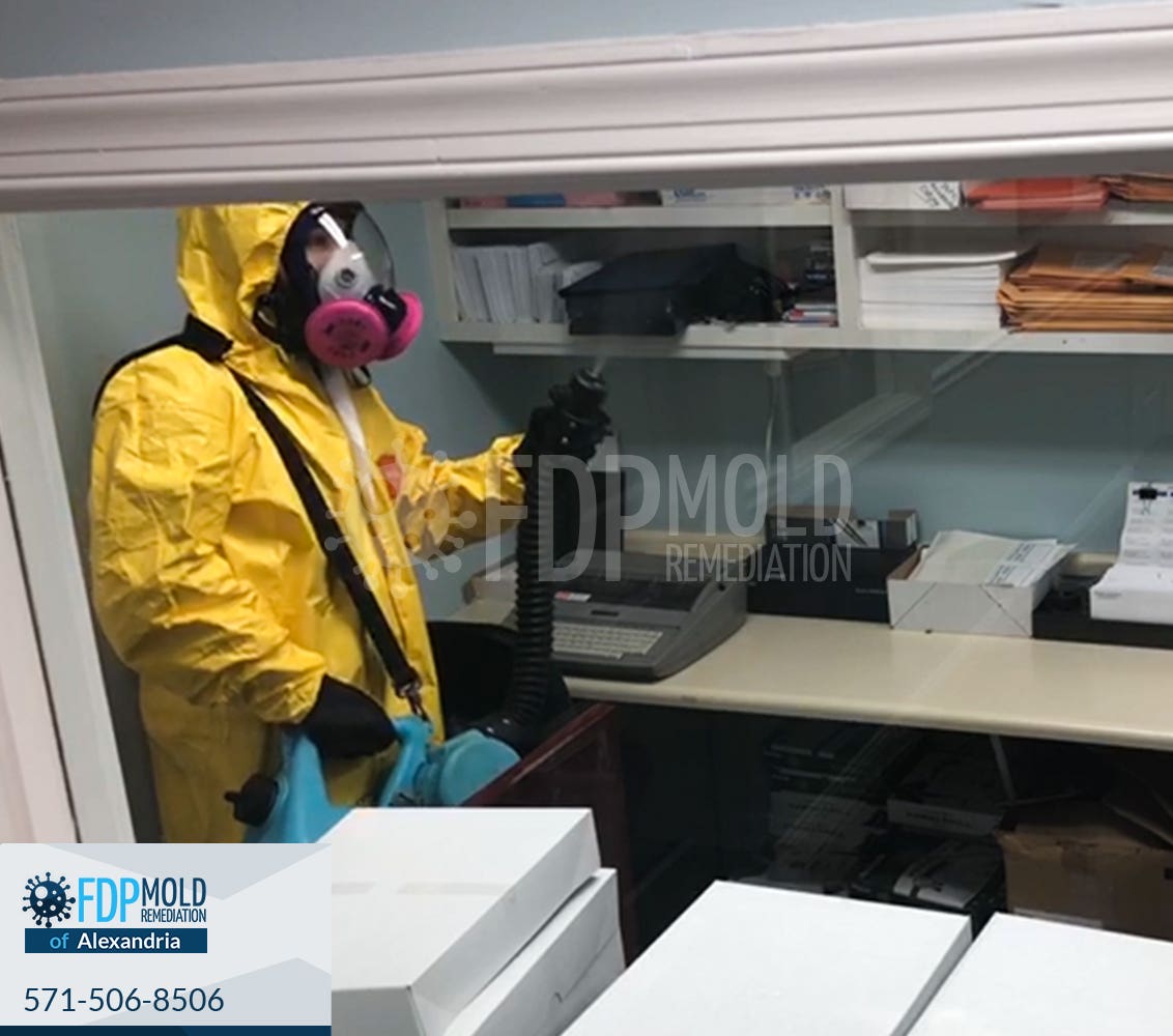 FDP Mold Remediation of Alexandria