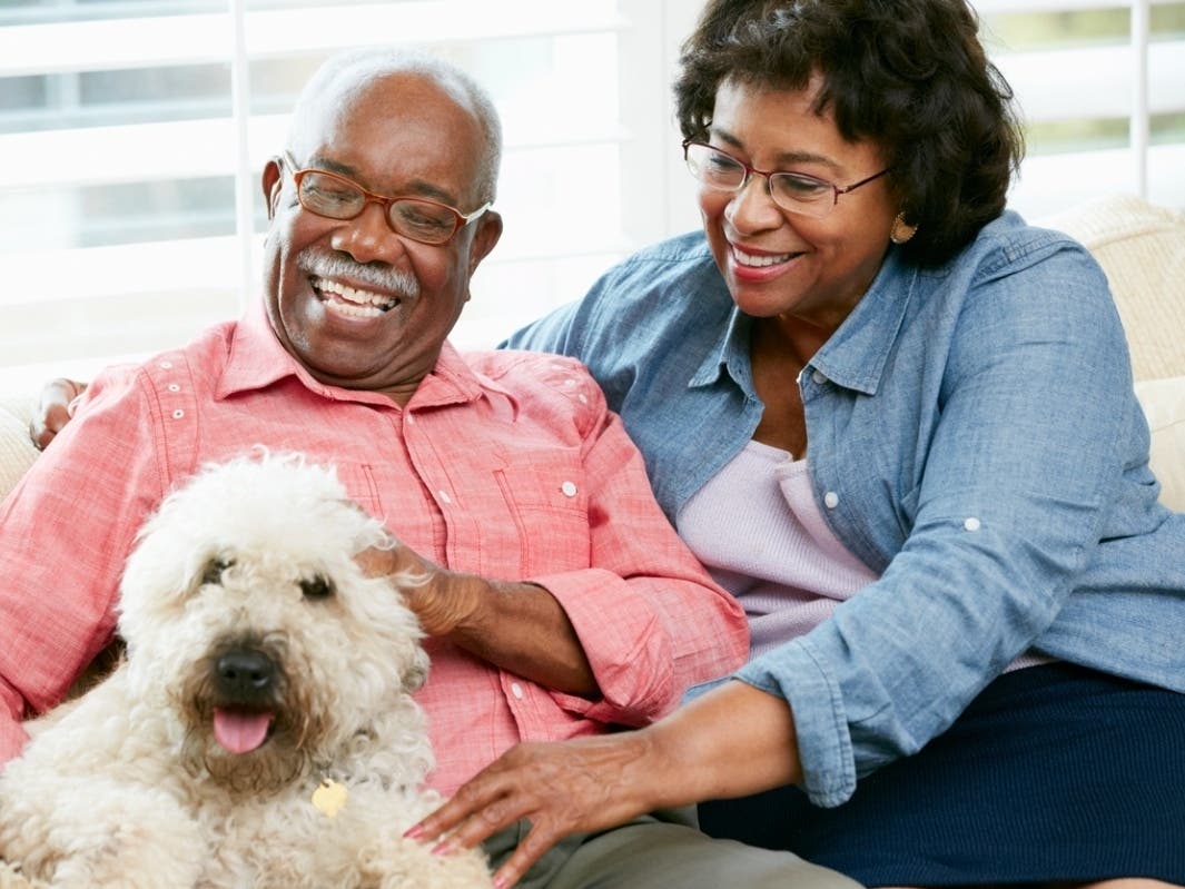 Residents at Arbor View Senior Living enjoy the comfort, companionship and everyday joy pets bring to community life.