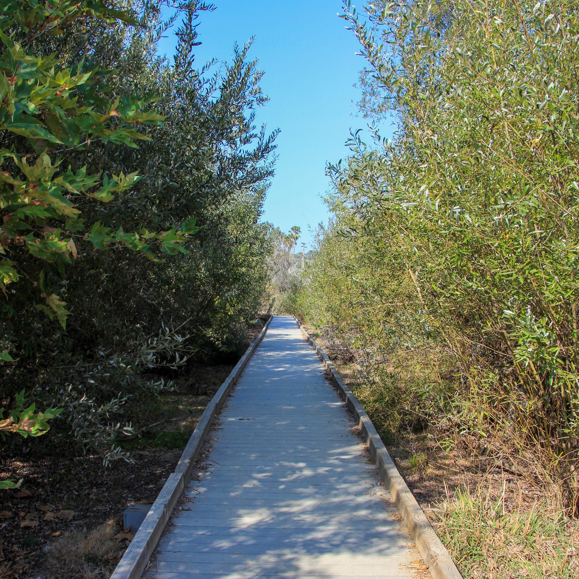 Nature Collective Hosts Discovery Tour 