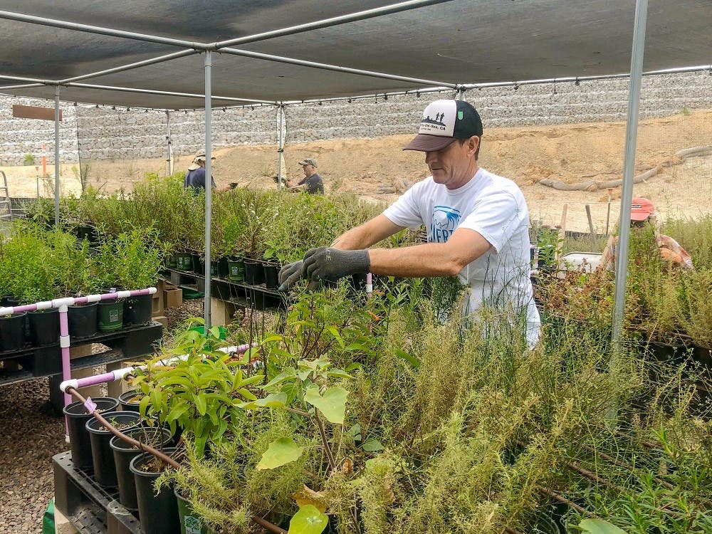 Nature Collective Holds Volunteer Restoration Event